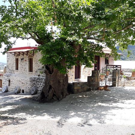 Traditional House Koukounara Kissamos Luaran gambar